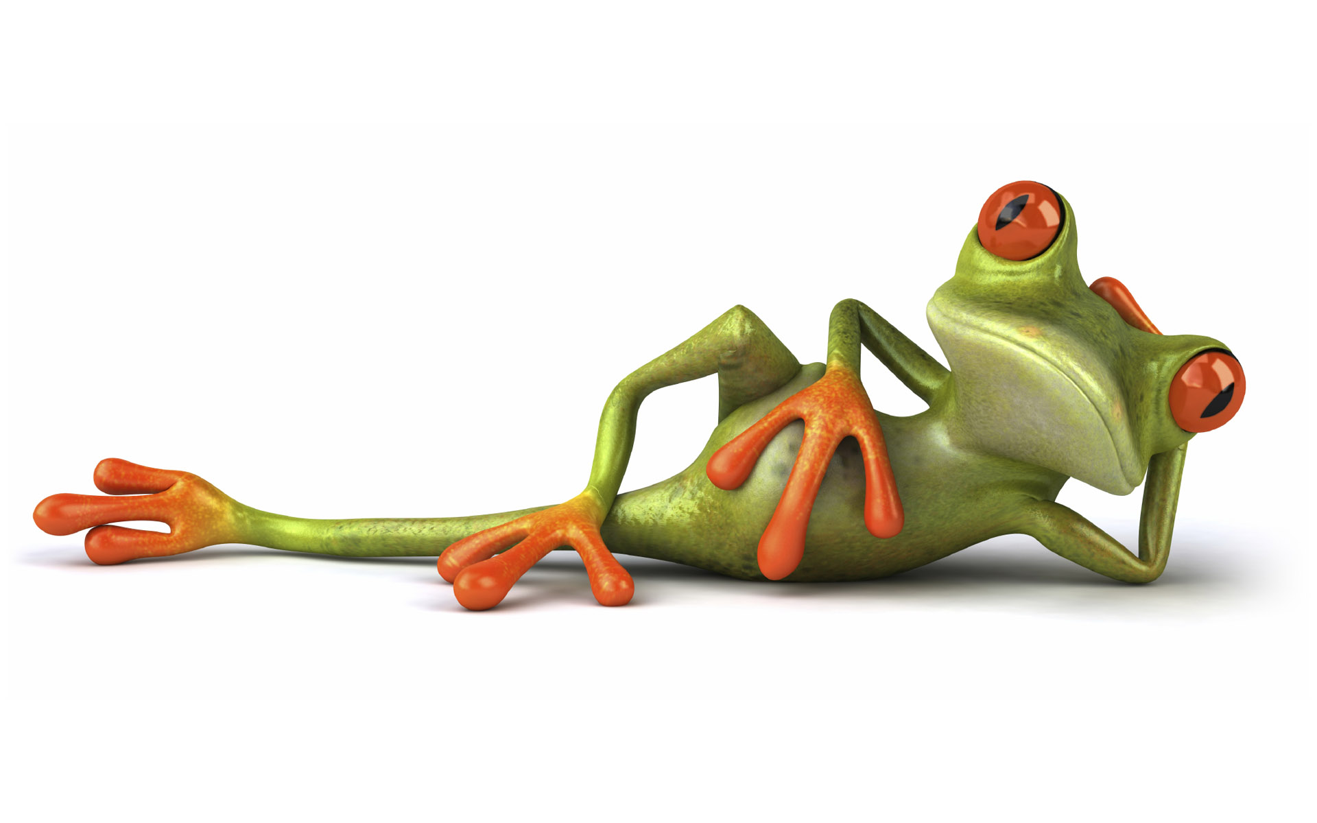 frog-relaxing-funny-cartoon-hd-wallpaper